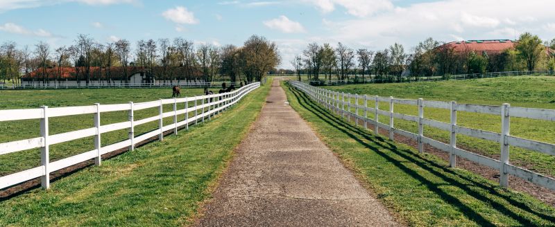 Livestock Fence Painting